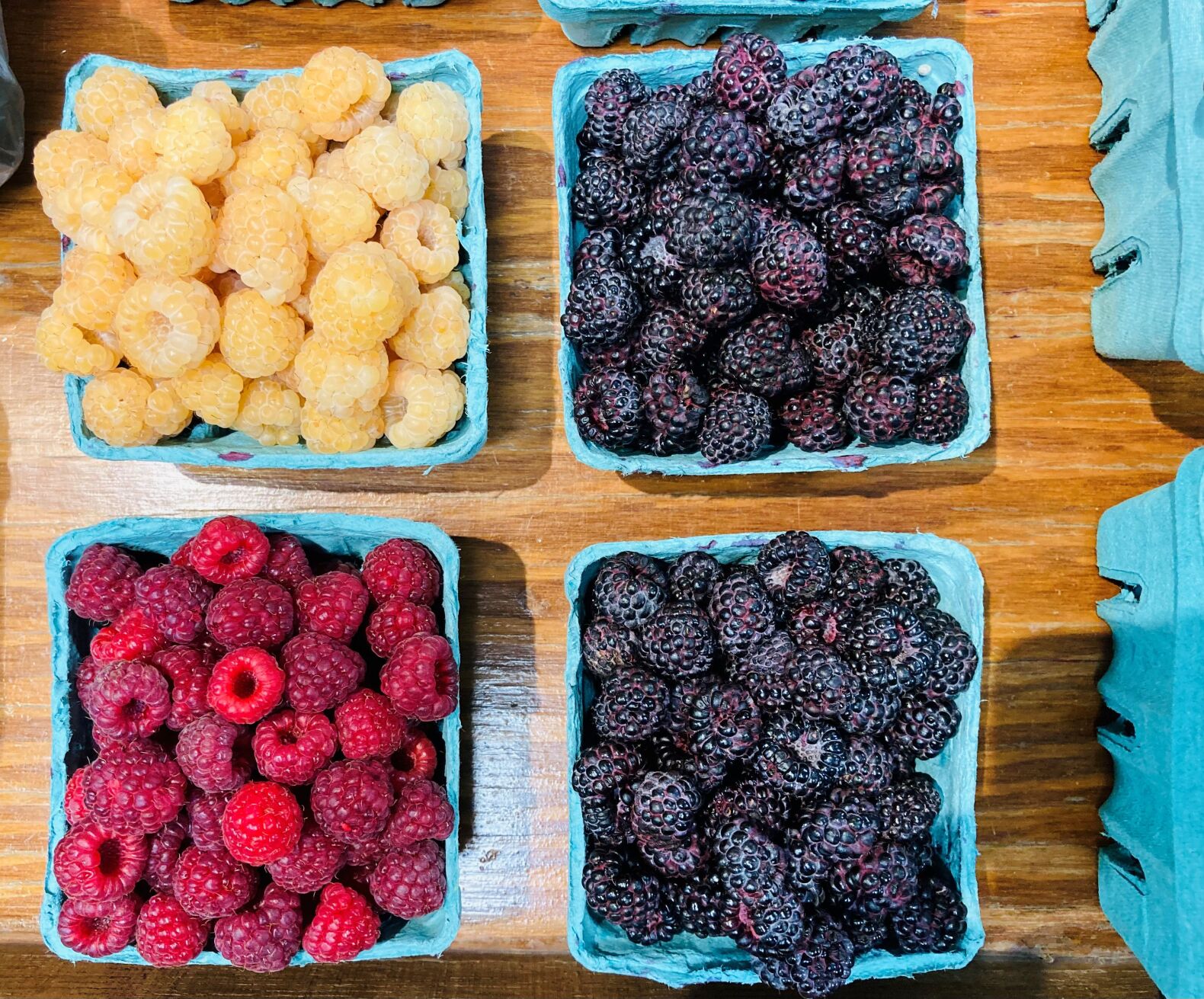 Raspberries, fall